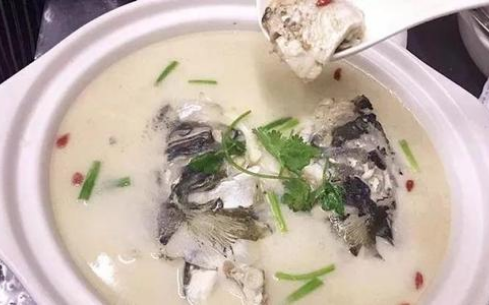 成都培訓(xùn)魚頭豆腐湯哪家味道好